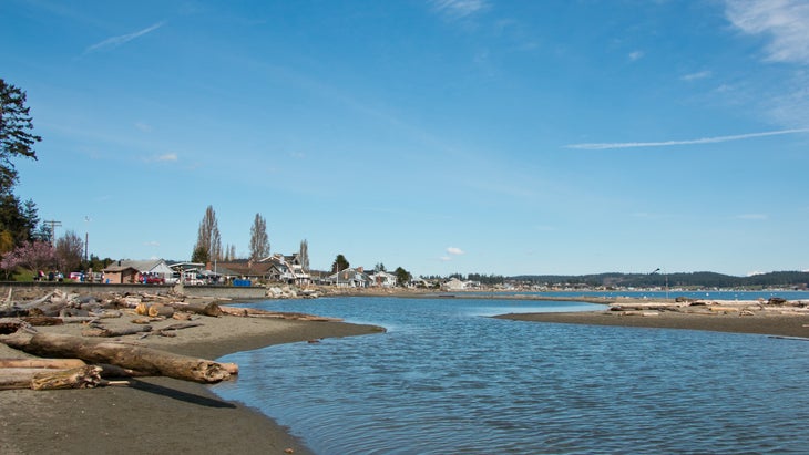 The 11 Most Dog-Friendly Beaches in the U.S.