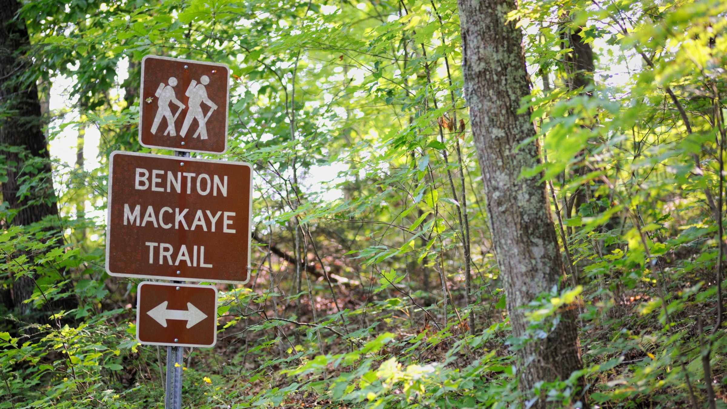 Benton MacKaye Trail sign