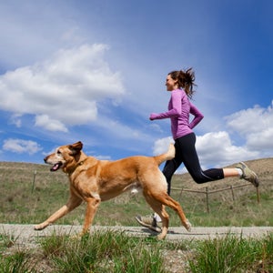 Best dogs for running