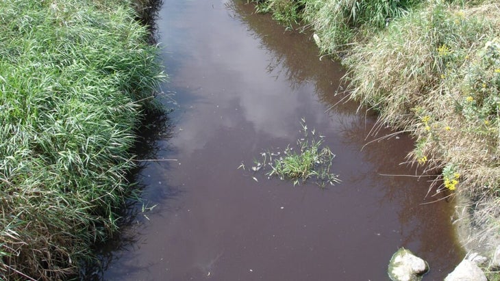 A brown stream of water between patches of grass.