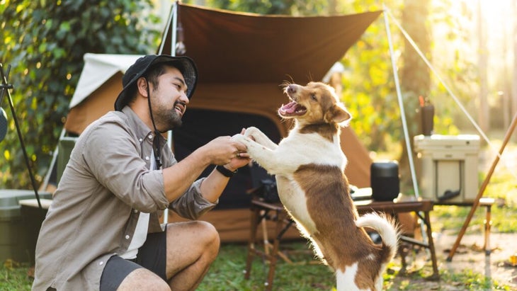 A man holding the paws of his dogs in front of a tent