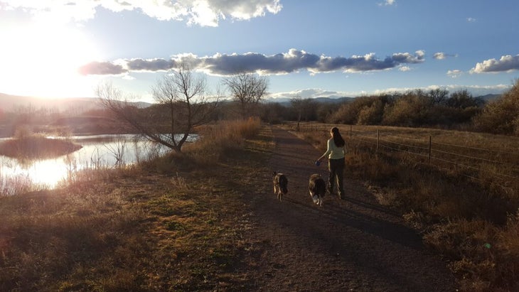 dogs sunset hiking