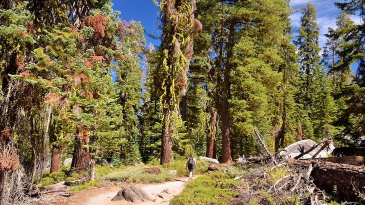 hiking yosemite