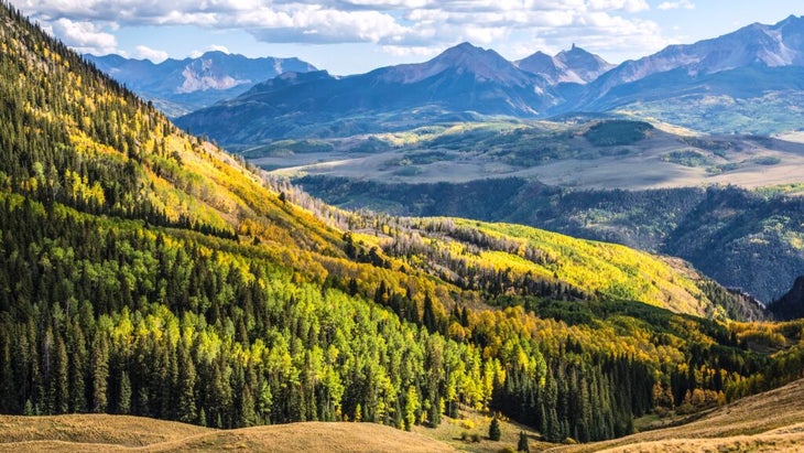 Yellows blend with green and orange in early autumn over Colorado's Last Dollar Pass