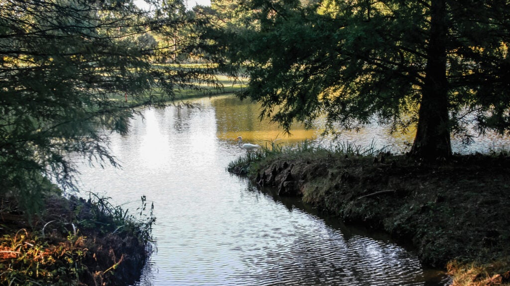 Mississippi Delta: Returning Home to Its Haunted Past