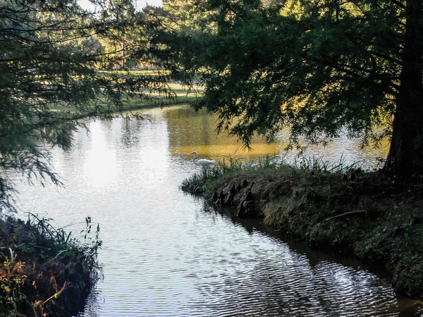 Cassidy Bayou near Sumner, Mississippi