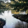 Cassidy Bayou near Sumner, Mississippi