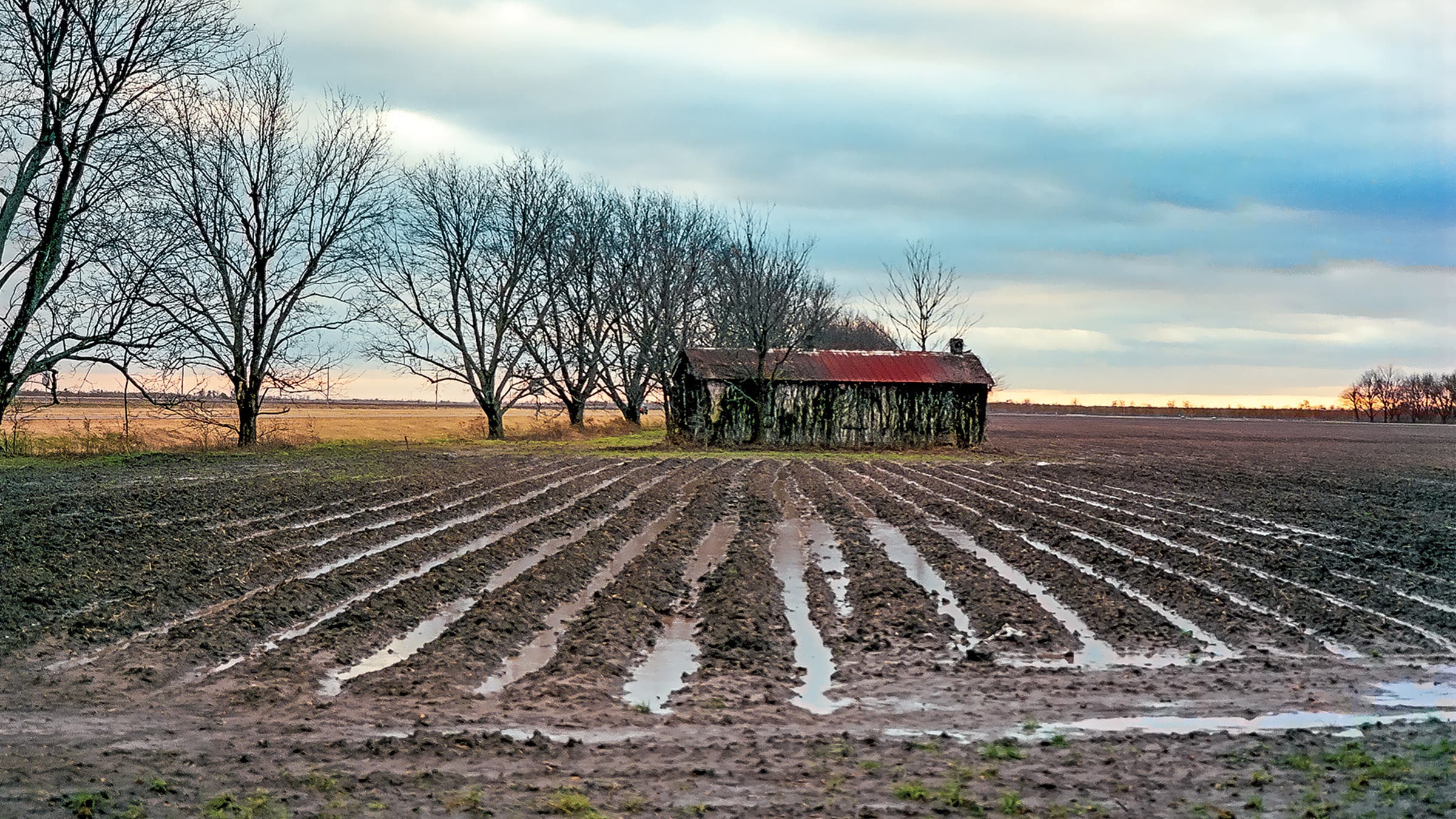 An abandoned sharecropper’s house on Highway 61 near Tunica