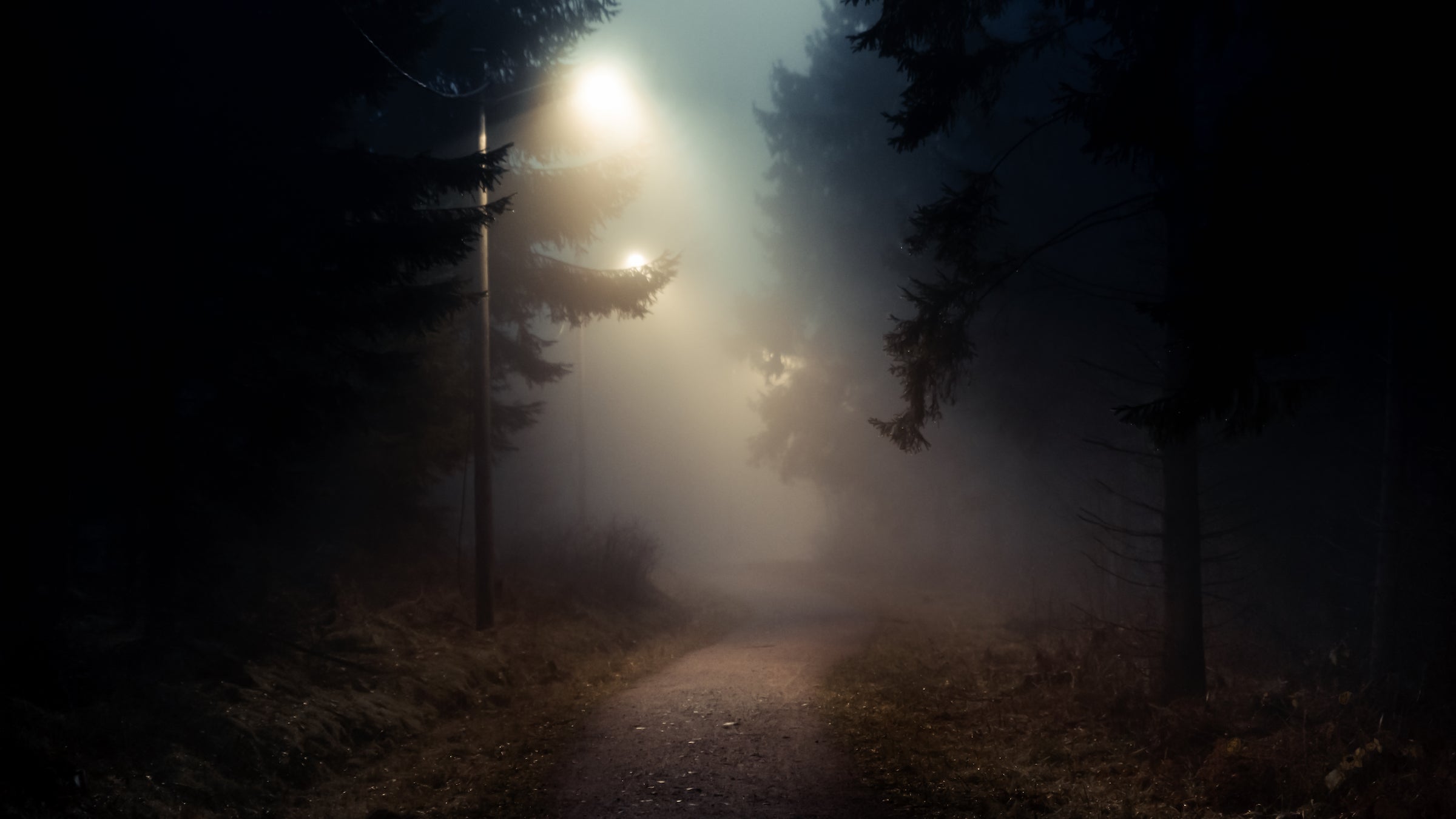 Dirt road in a dark and foggy forest