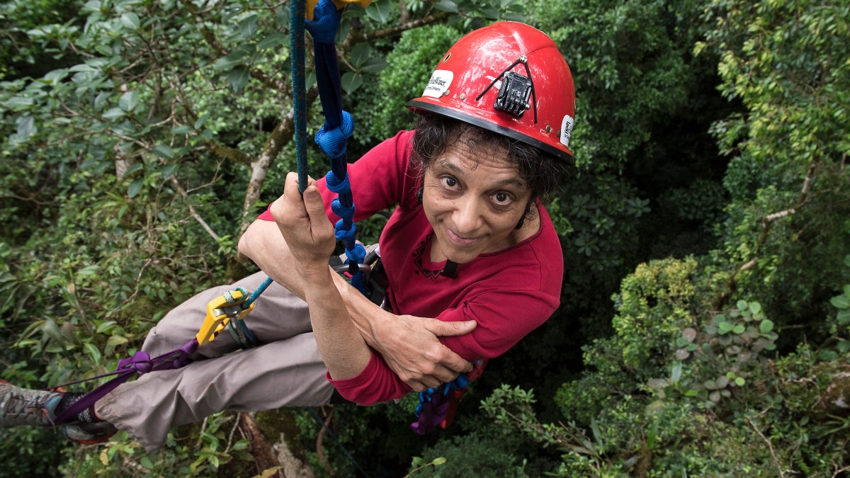 Nalini Nadkarni Is Walking in a New World