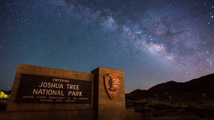 night sky joshua tree