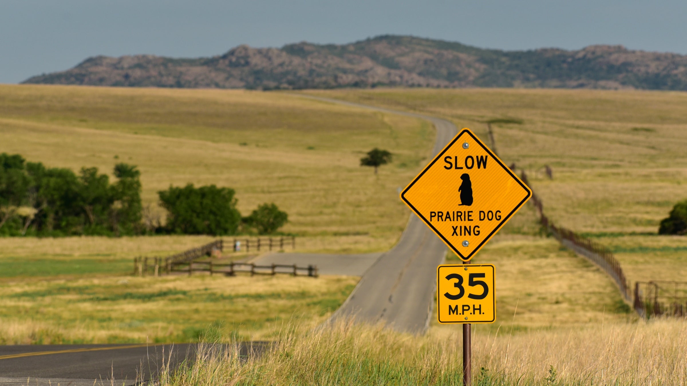 One skeptic of Goodge's run traveled all the way to Oklahoma to witness the effort up close. 