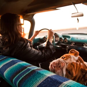 A woman driving with her dog in the passenger seat