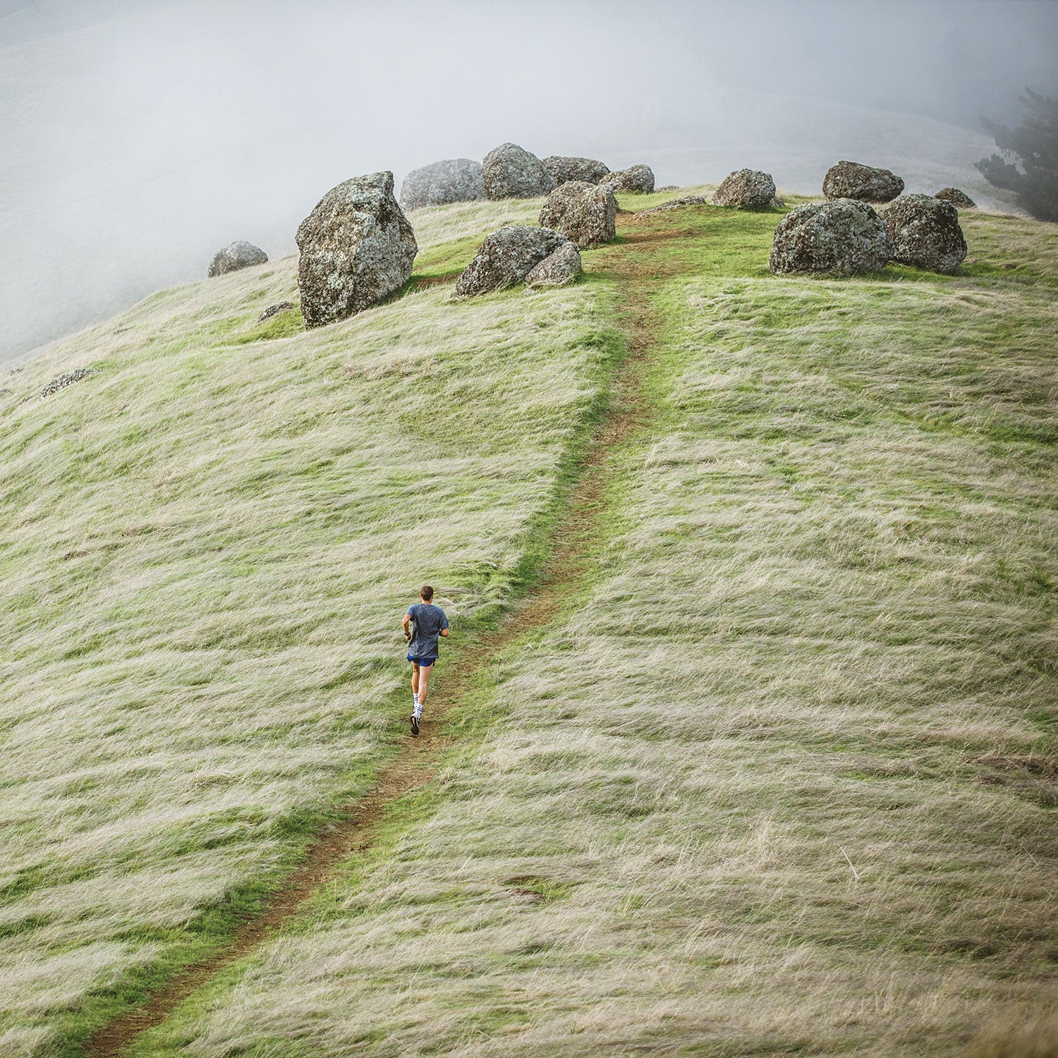 Why Trail Running Adventures Benefit Your Mental Health - Outside Online