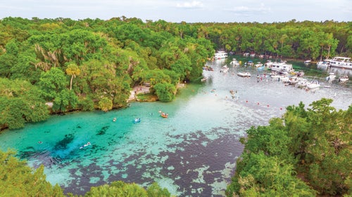 Silver Glen Springs in Ocala National Forest