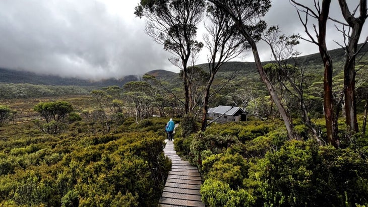 Tasmania's Waterfall Valley Hut