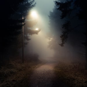 Dirt road in a dark and foggy forest
