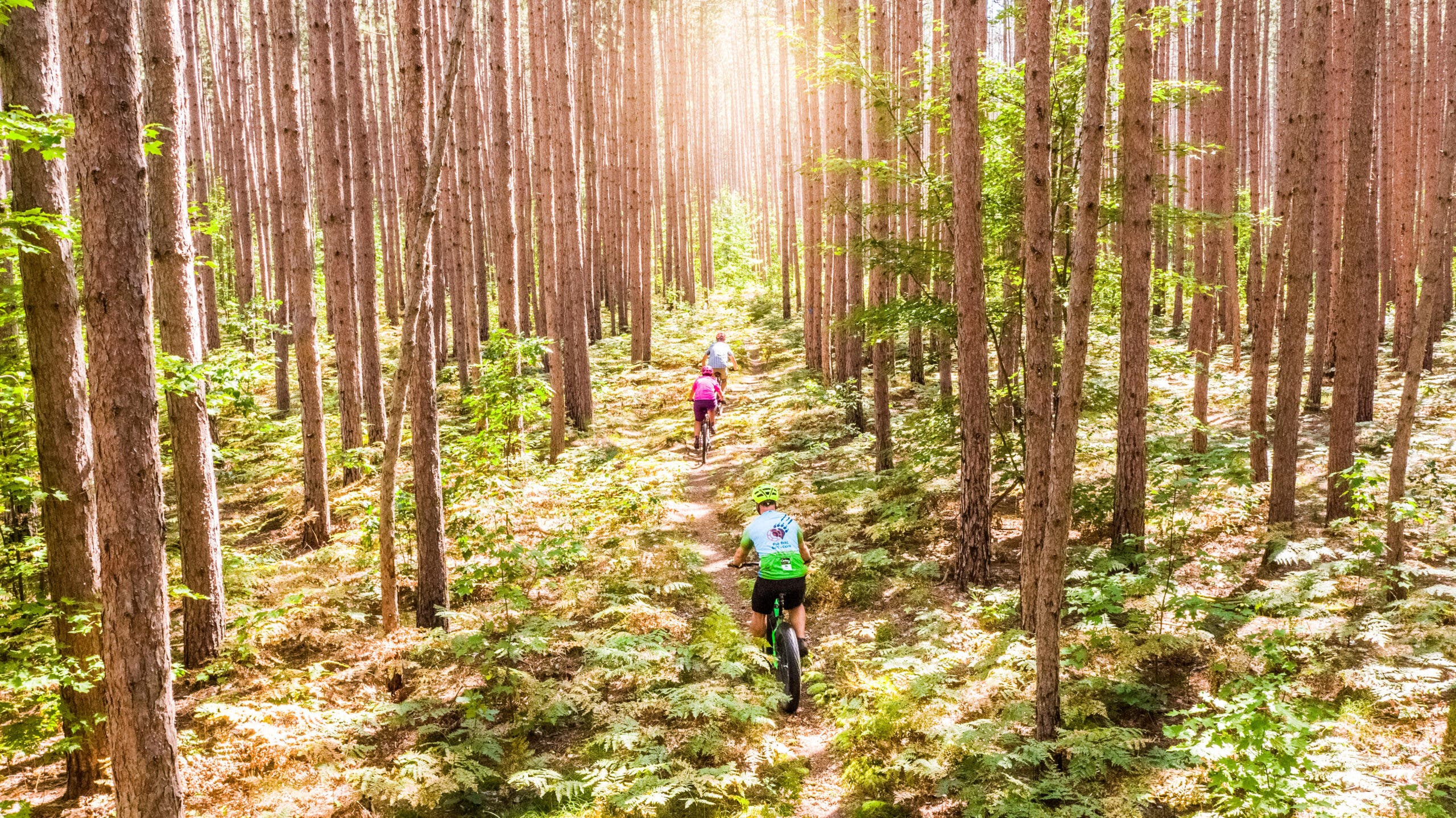 Biking the Big M Trail in Manistee National Forest.