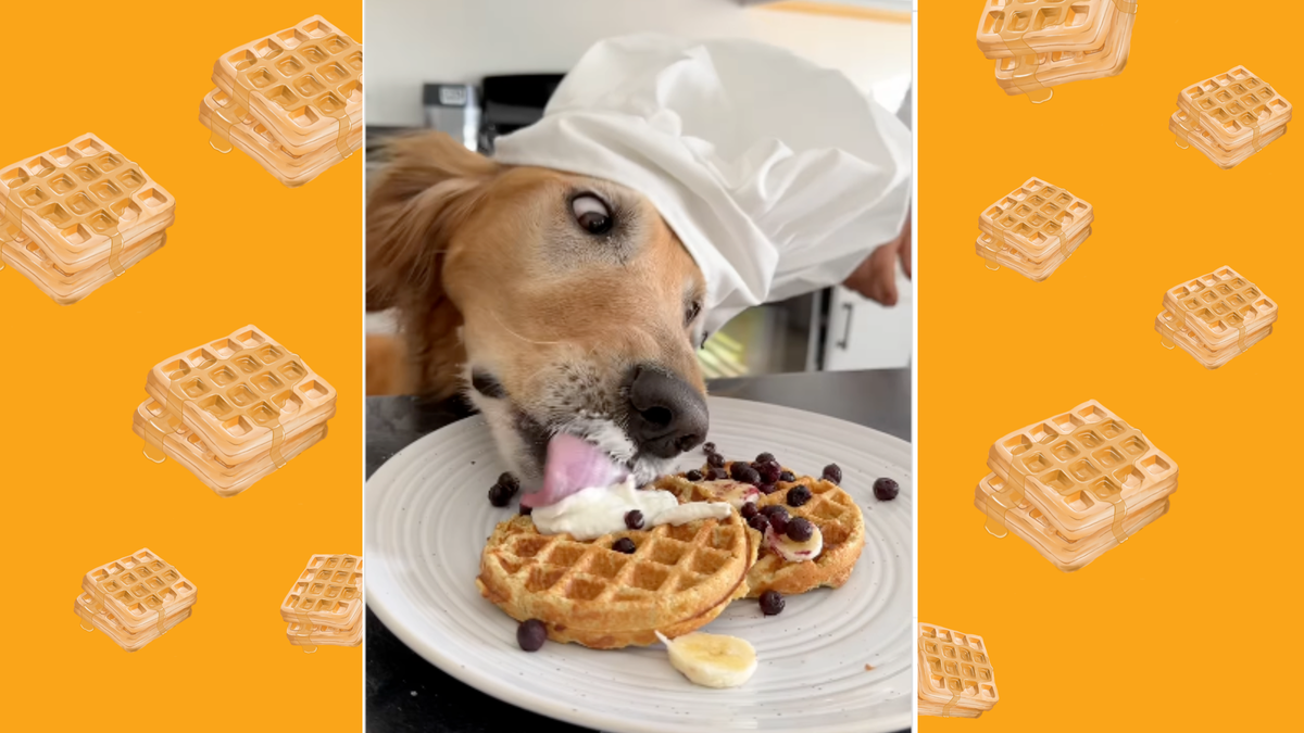 How to Make Dog-Friendly Waffles