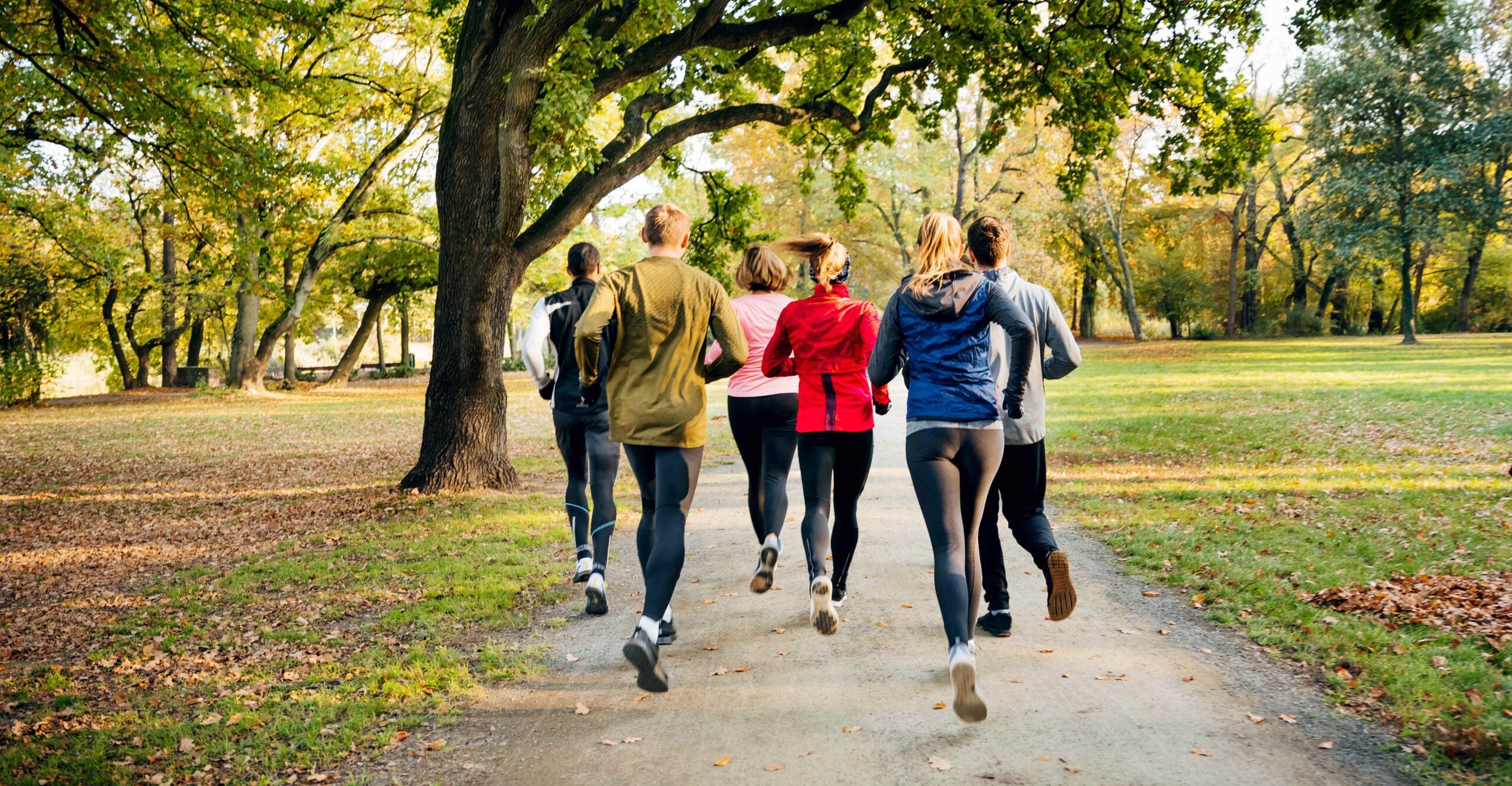 Strava new years resolution