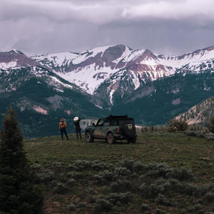 Wildly Wyoming