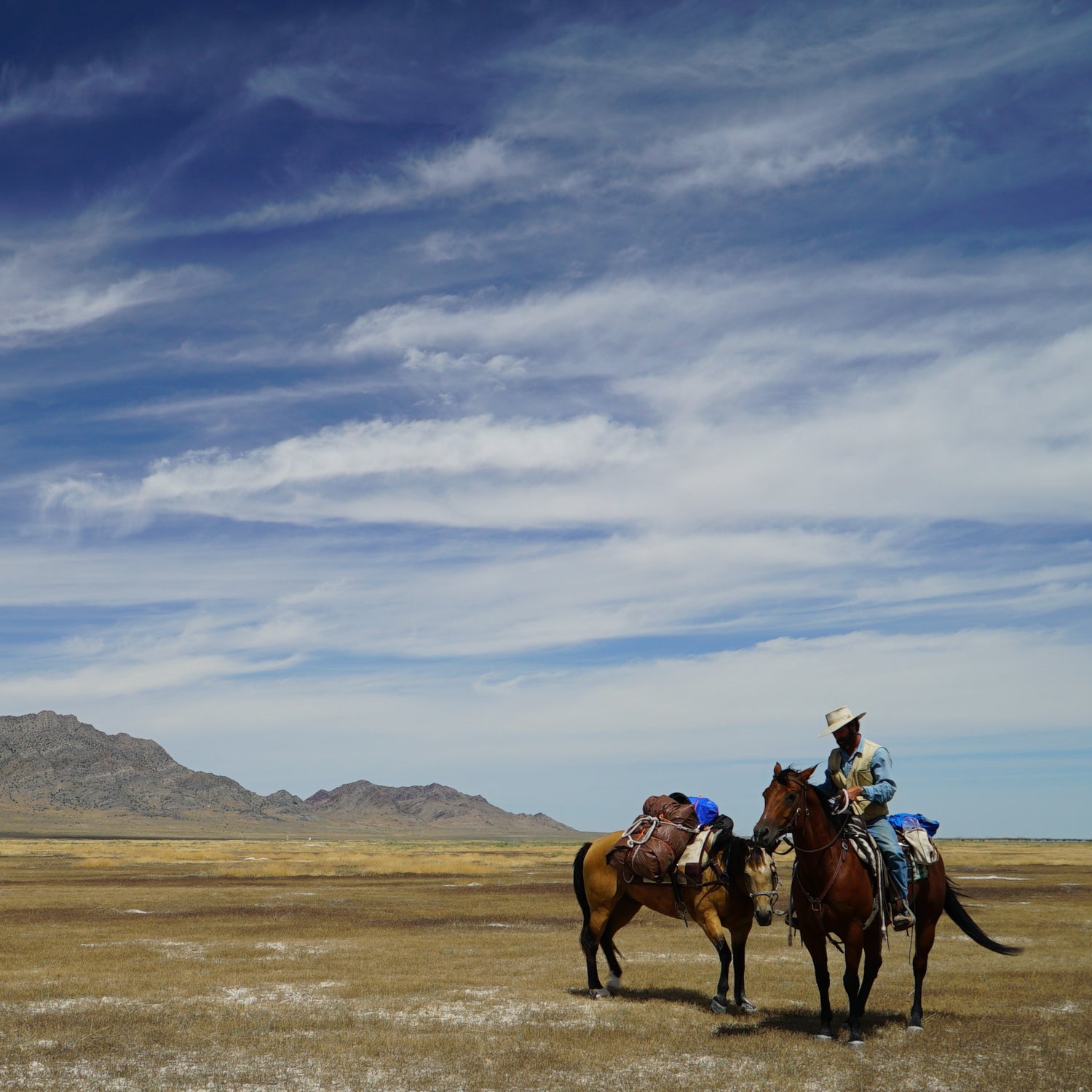 The Day a Wild Stallion Tried to Kill My Horses on the Pony