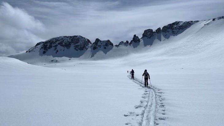 Skiers making the first tracks of the day while skinning into a bowl of powder