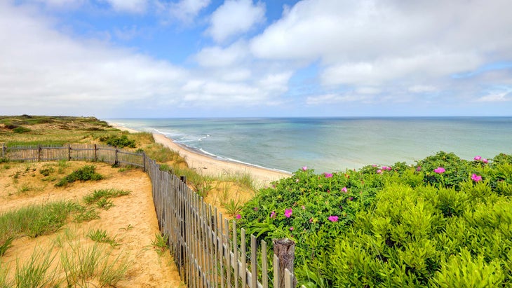 Beaches  Getty Images Gallery