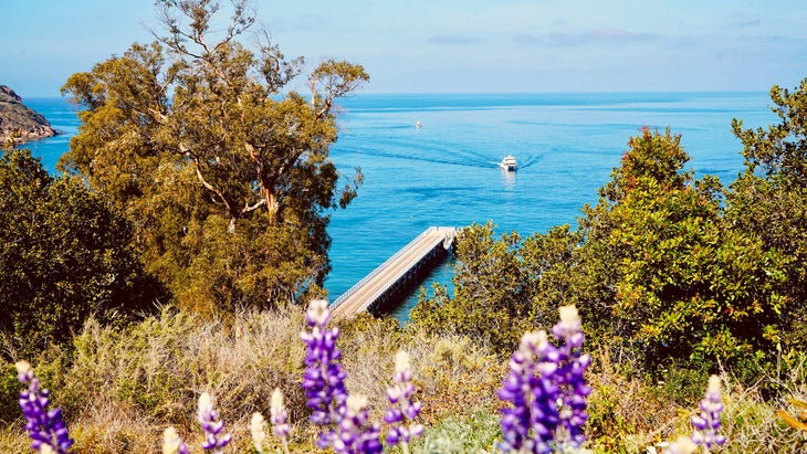 lookout from santa cruz island