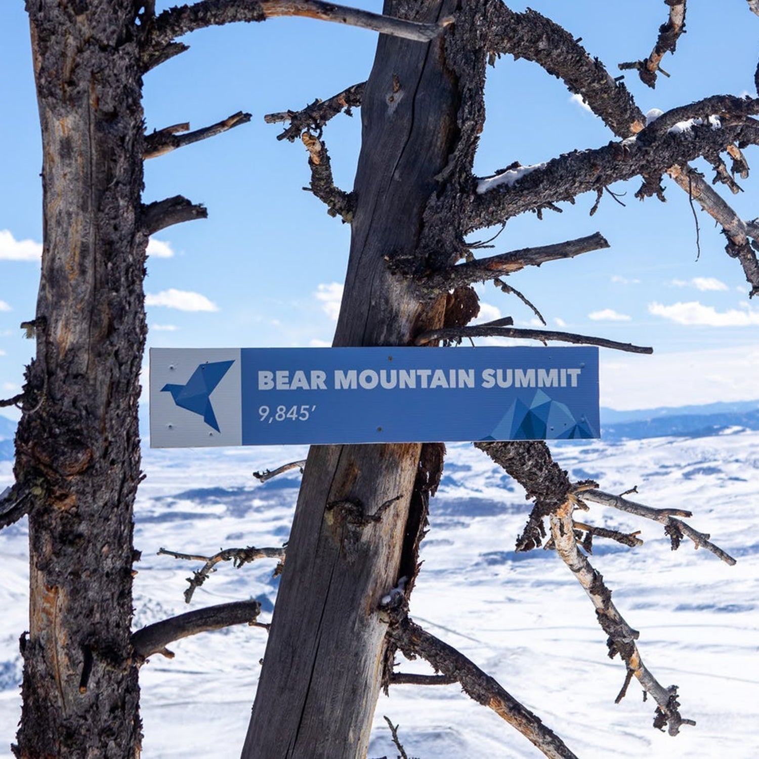 Bluebird Backcountry trail sign