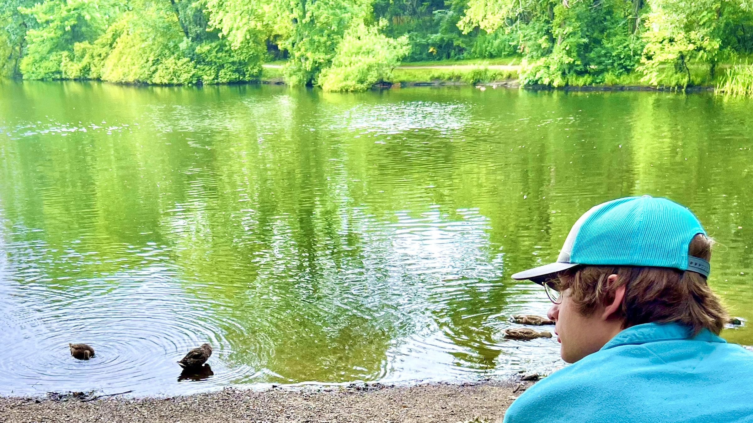 Man looking out at pond, ducks, nature