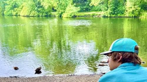 Man looking out at pond, ducks, nature