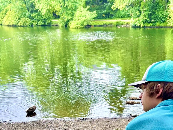 Man looking out at pond, ducks, nature