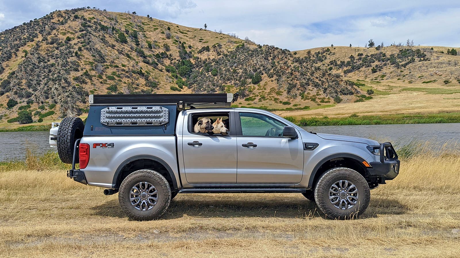 two dogs sticking their heads out of the window of a silver truck