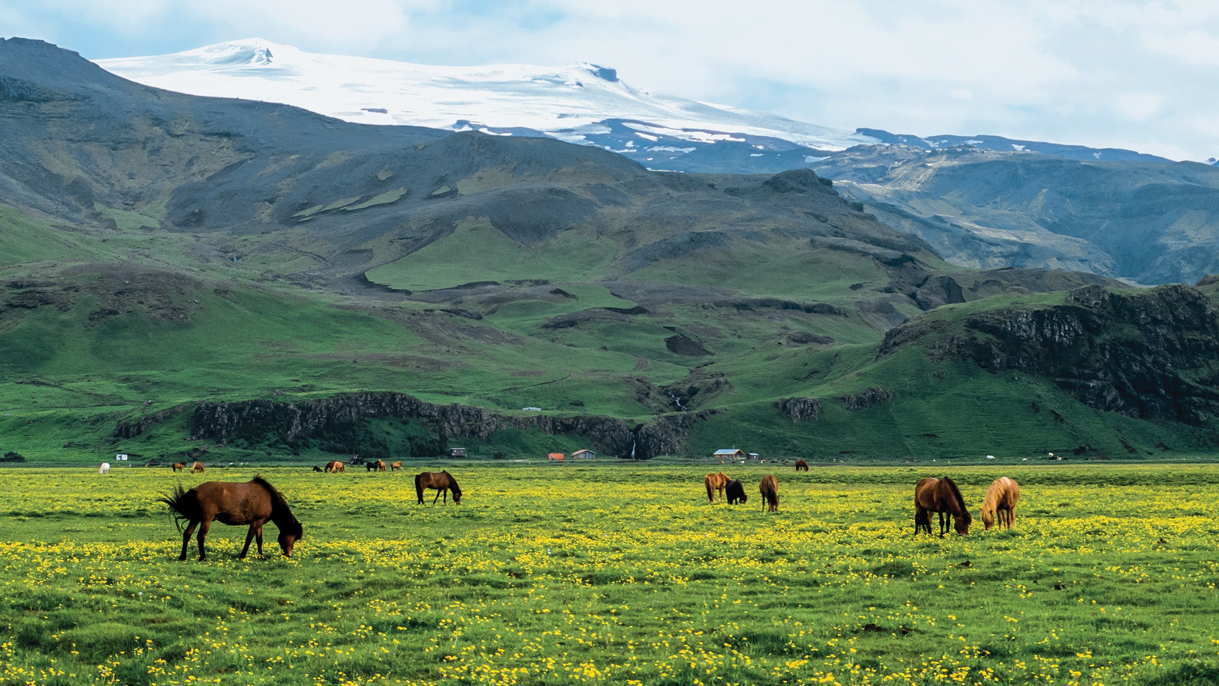 Warm-weather grazing