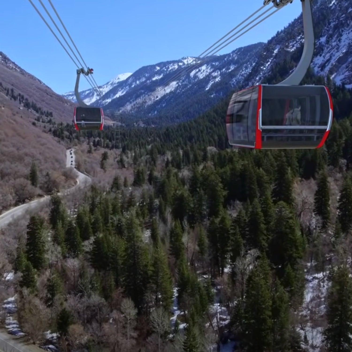 LCC Gondola