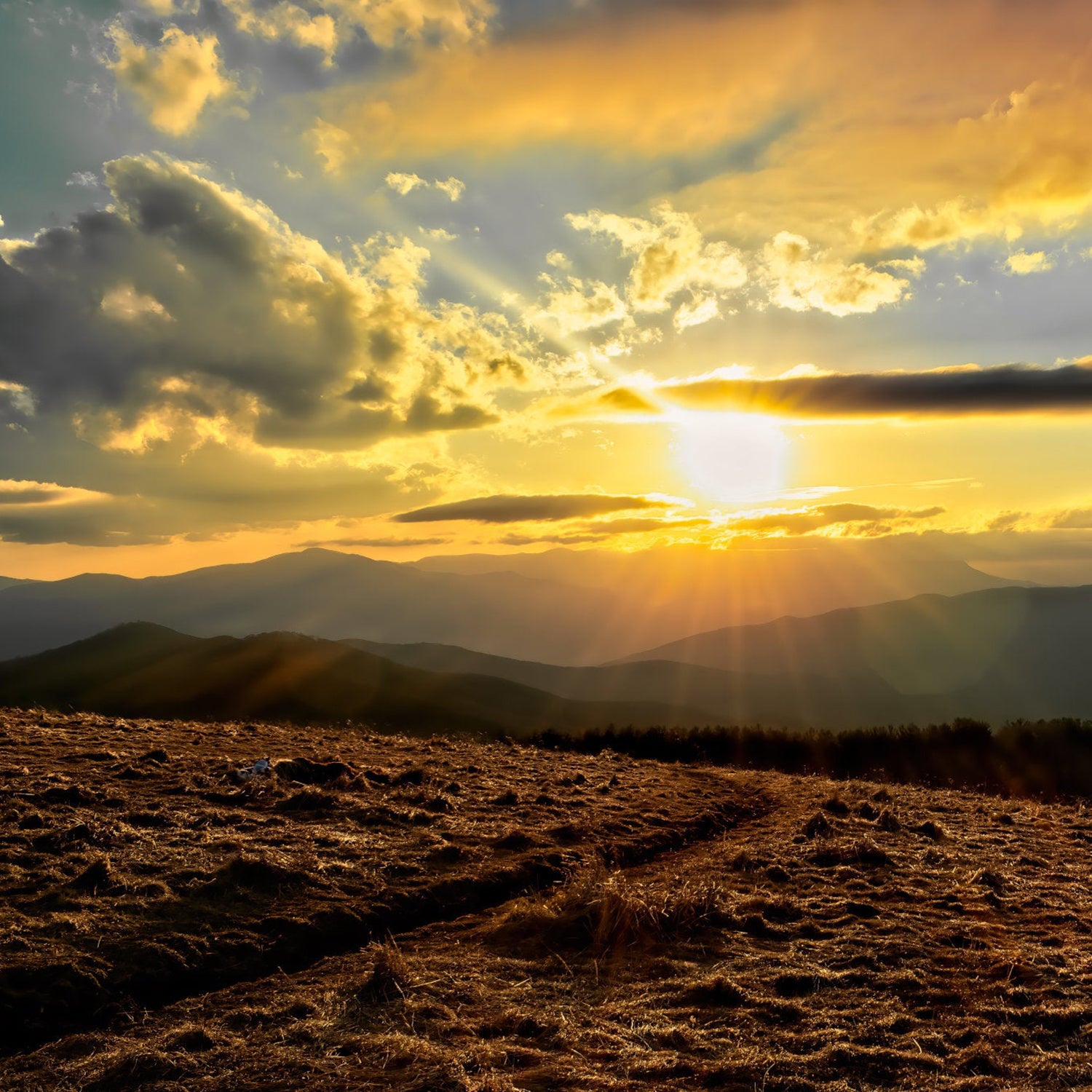 sunset on Max Patch