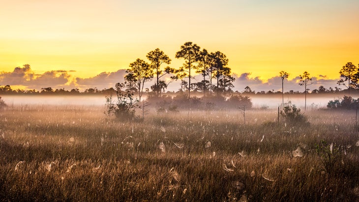 sunrise everglades national park