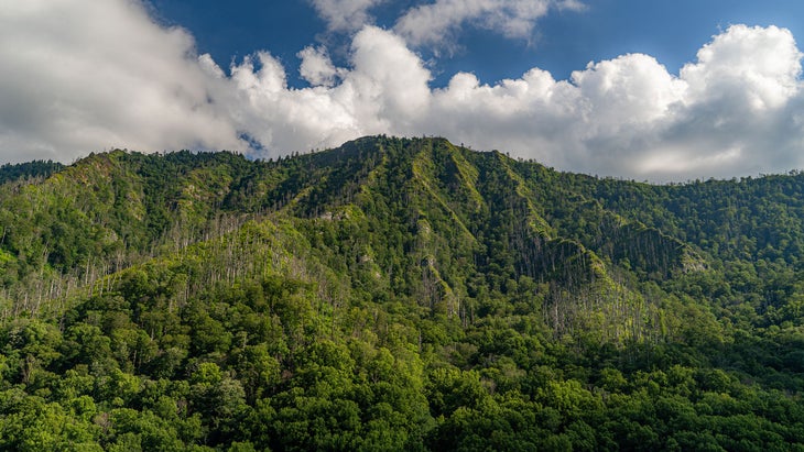 great smoky mts national park