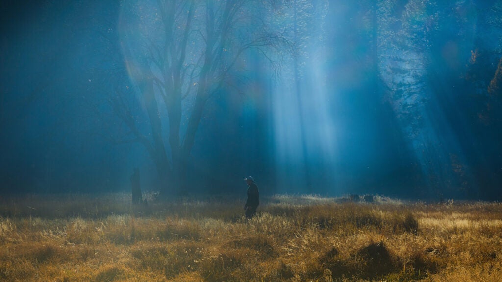 man in misty woods yosemite