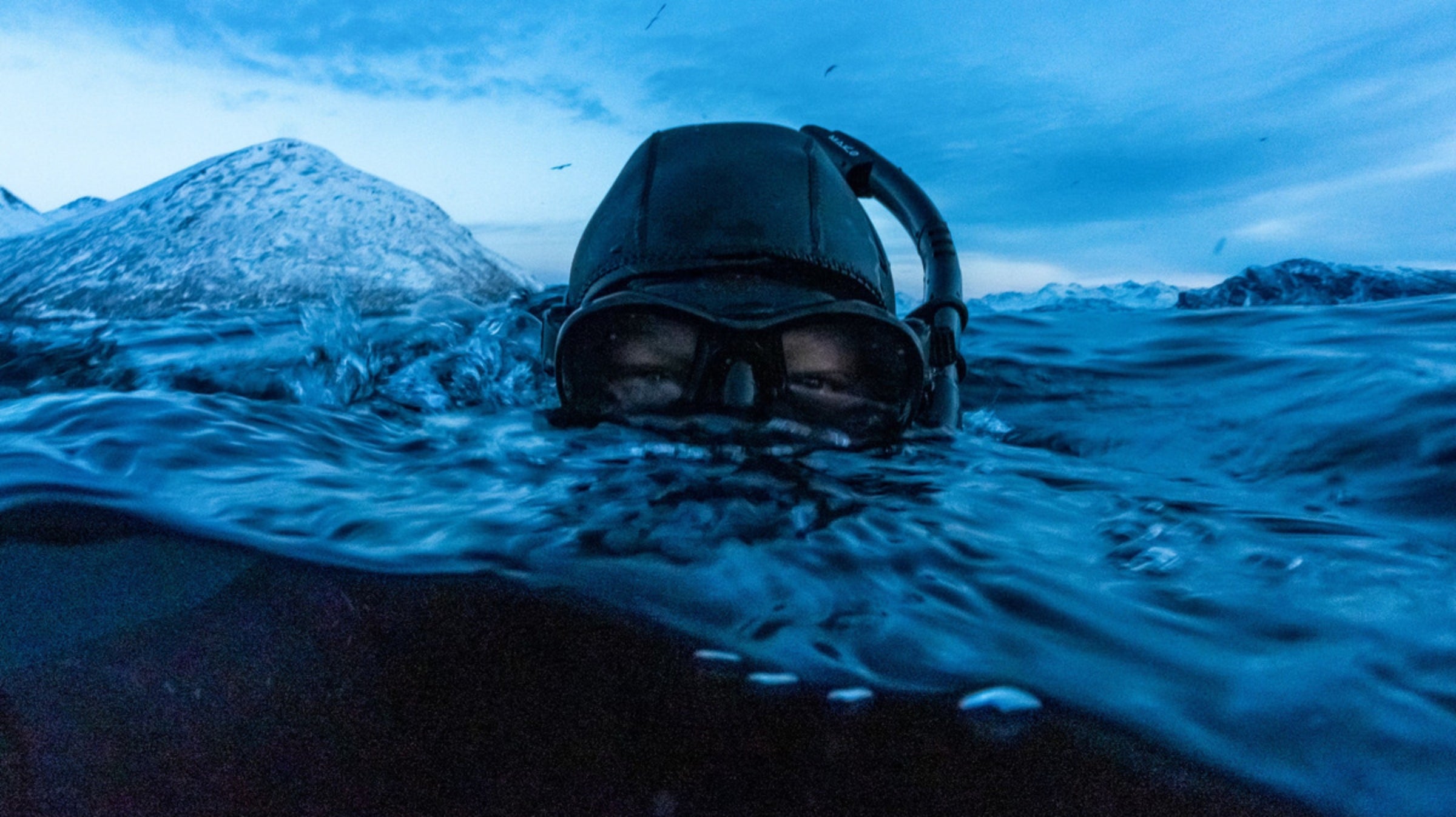 Skjervoy, Norway. Winter Herring migration and Orca and Humpback whale feeding