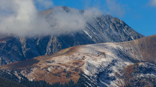 Quandary Peak