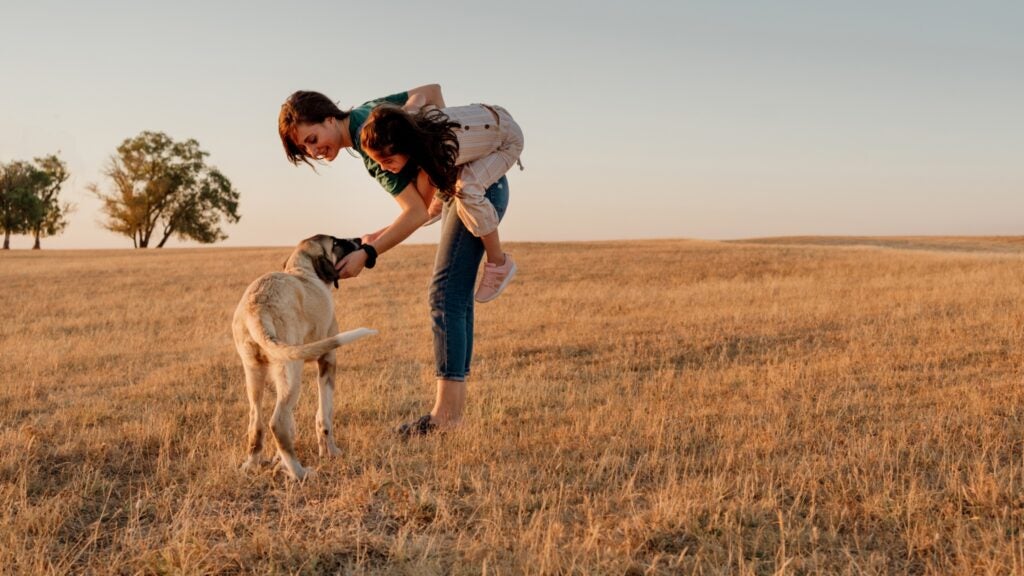 My Wife Often Rescues Animals in Need. I'm Worried Their Deaths Might Traumatize Our Daughter. - Vimarsana News