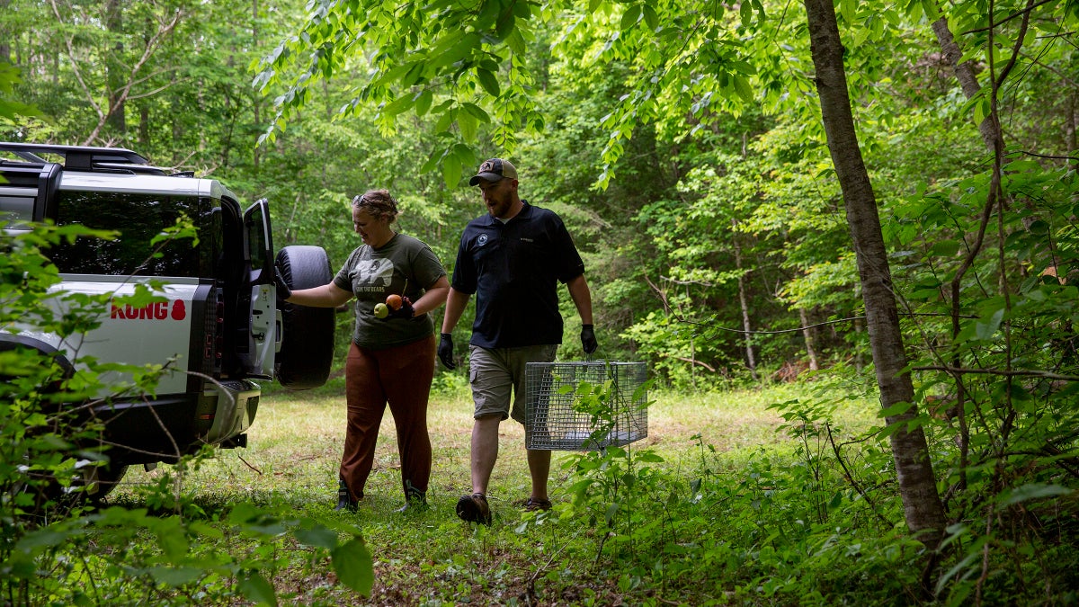 Appalachian Bear Rescue Saves Cubs with Its Defender 130