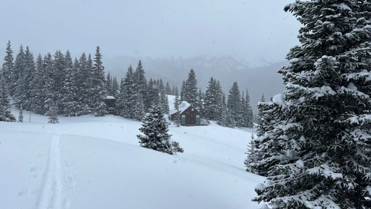 The Thelma Hut during a snowstorm, with ski tracks heading to the hut and snow-covered pine trees