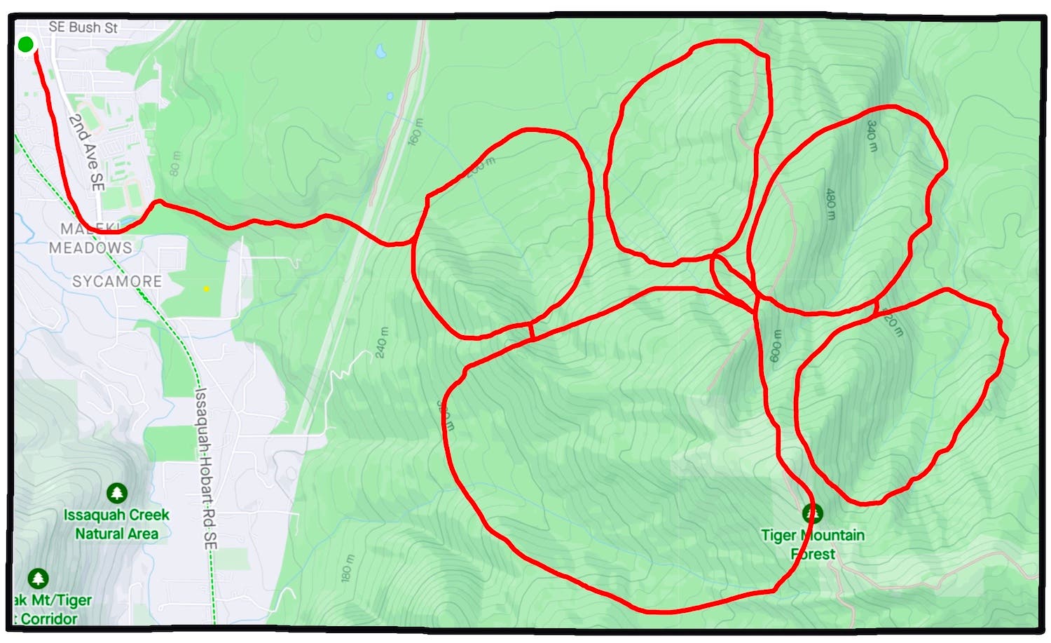 Fake strava map with a tiger claw shape