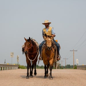 Western Riding - Everything you need to know