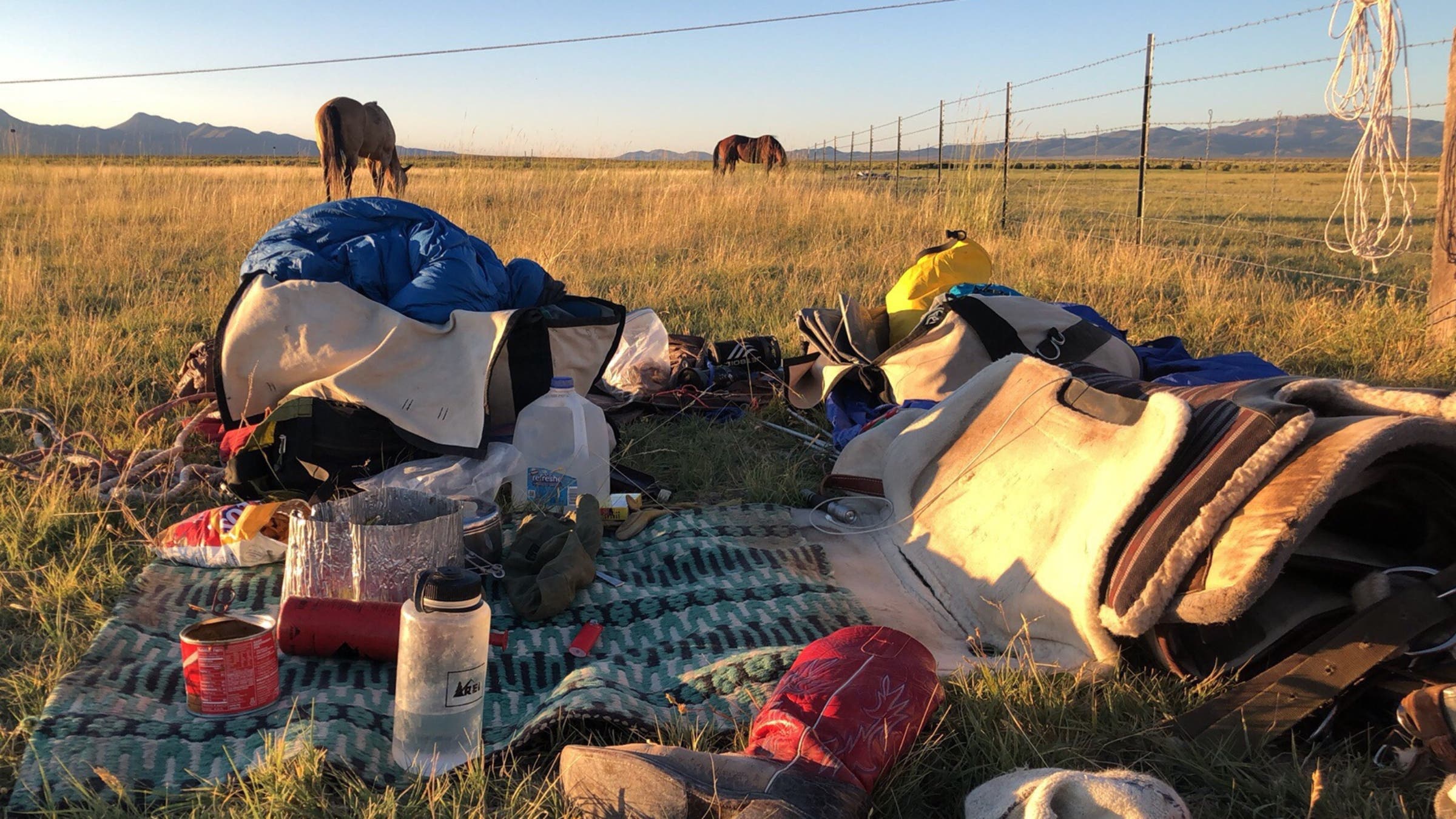 Will Grant Pony Express