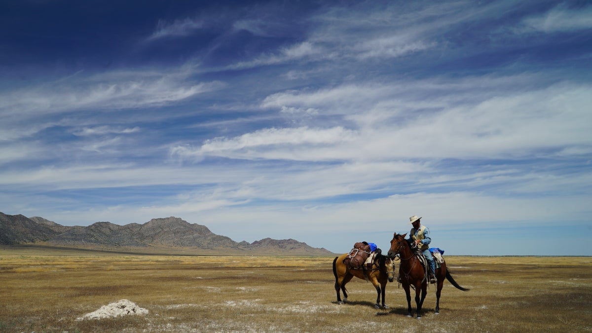 The Day a Wild Stallion Tried to Kill My Horses on the Pony Express Trail