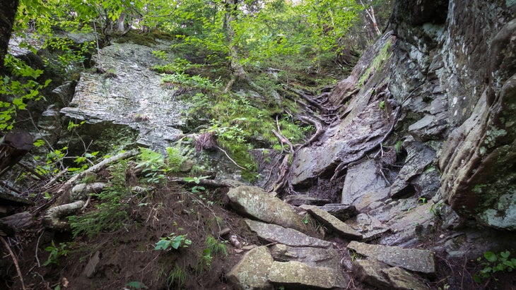 Devils Path Hiking Trail in the Catskill Mountains